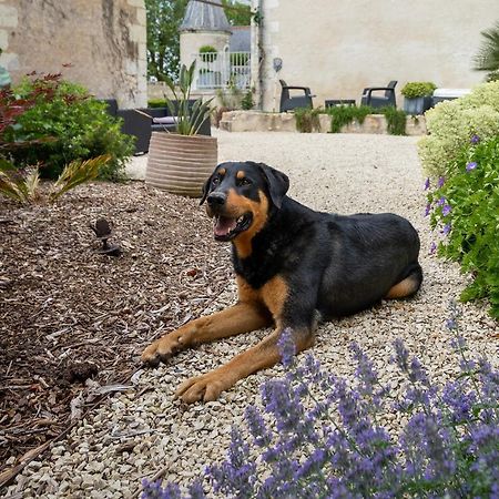 Manoir De La Mazeraie, Ideal Pour Le Teletravail Joué-lés-Tours Exterior foto