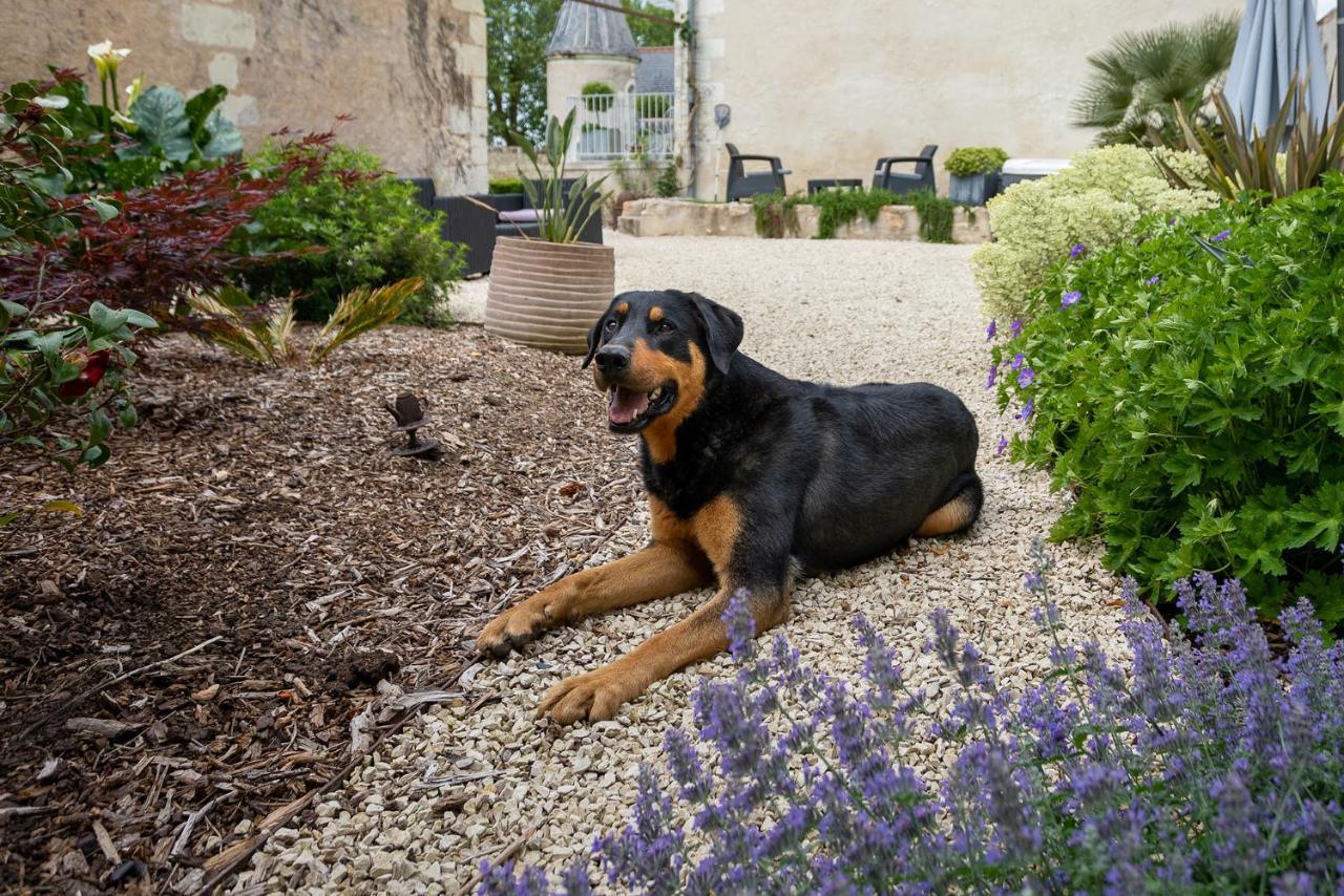 Manoir De La Mazeraie, Ideal Pour Le Teletravail Joué-lés-Tours Exterior foto
